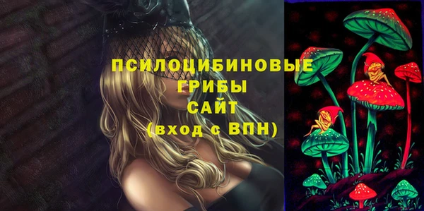 кристаллы Корсаков